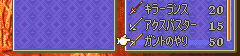 ファイアーエムブレム 封印の剣 アイテムコンプ5